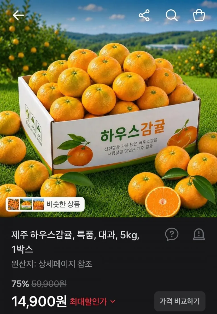 [토스] 제주귤 5kg,대과 1박스, 저렴해서 추천합니다