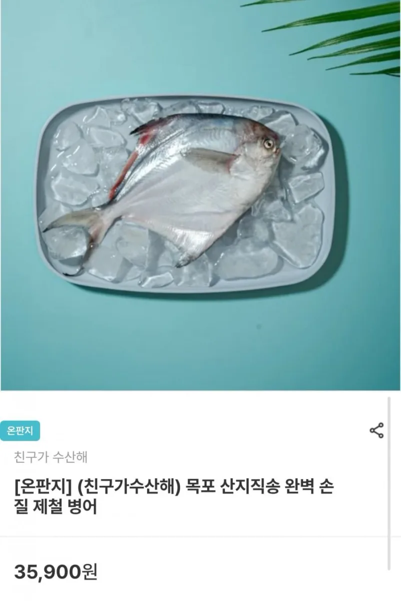 [남도장터] 목포 산지직송 완벽 손질 제철 병어 소 200g 2마리(17,940원/무료배송)