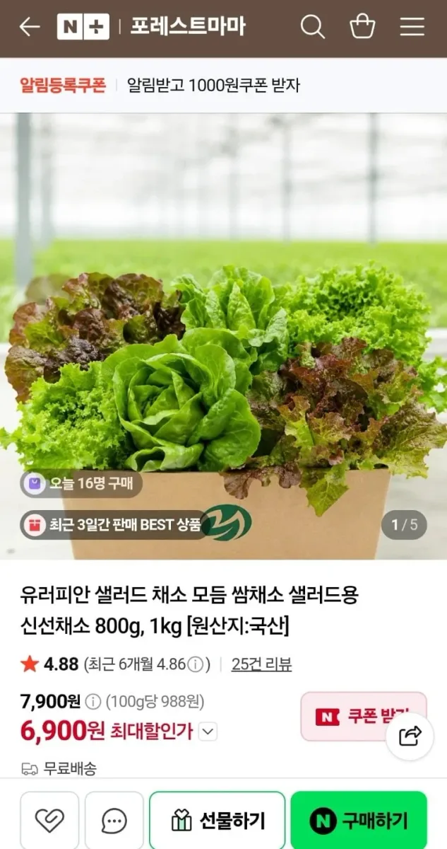 [네이버] 유러피안 샐러드 채소 모듬 쌈채소 샐러드용 신선채소 800g (6,900원/무료)