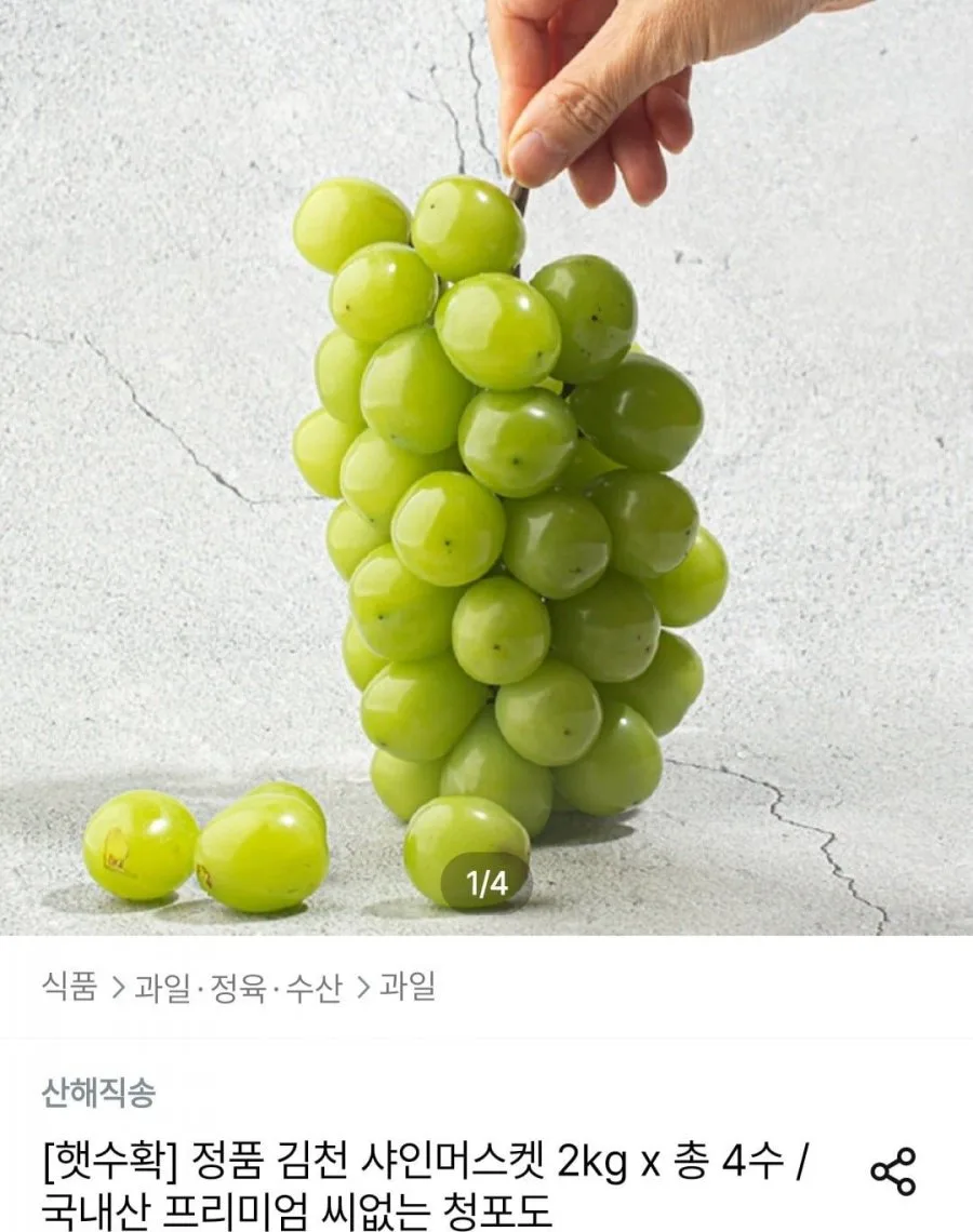 [오늘의집] 샤인머스켓 2kg x 총 4수 (8,991원/무료)