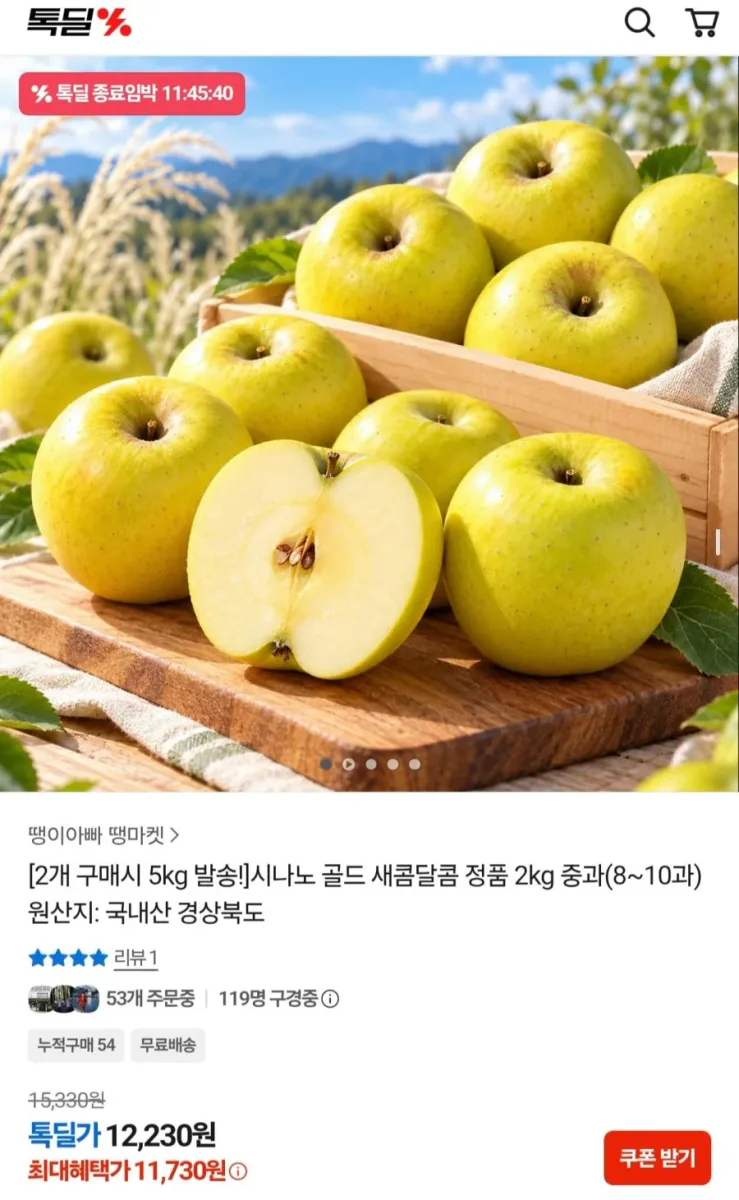[카카오] 시나노 골드 정품 중과 2kg 8~10과 (11,730원/무료)