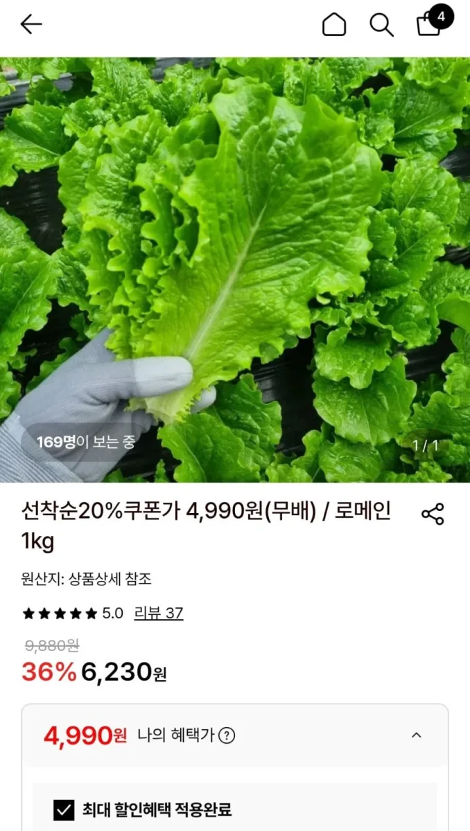 [롯데온] 로메인청상추 1kg (4,990원/ 무배)