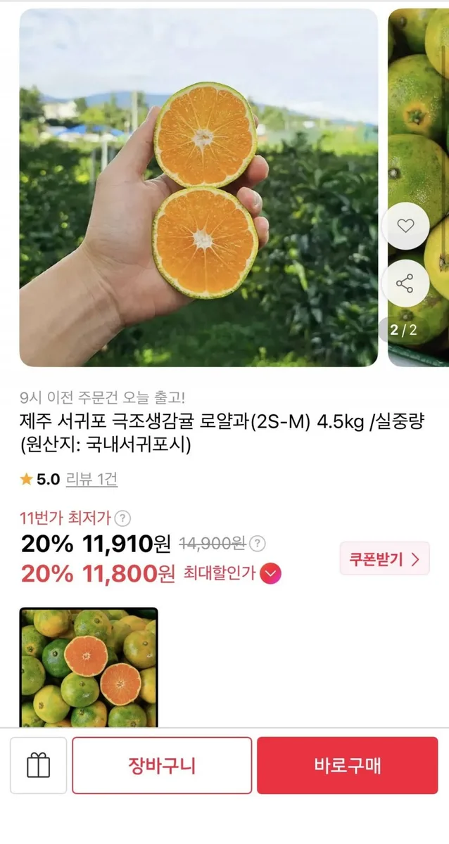 [11번가] 제주 서귀포 극조생감귤 로얄과 4.5kg (11,910원/무배)