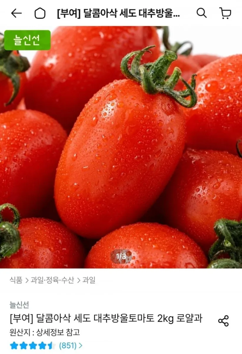 [오늘의집] 대추방울토마토 2kg 실중량 로얄과(10,781원/무배)