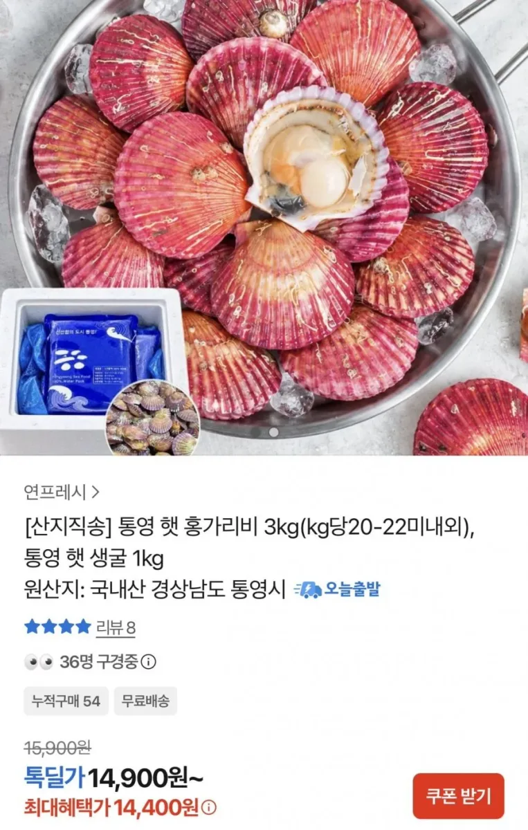 [카카오] 통영 햇 홍가리비 3kg (kg당 20-22미내외) (14,400원/무료)