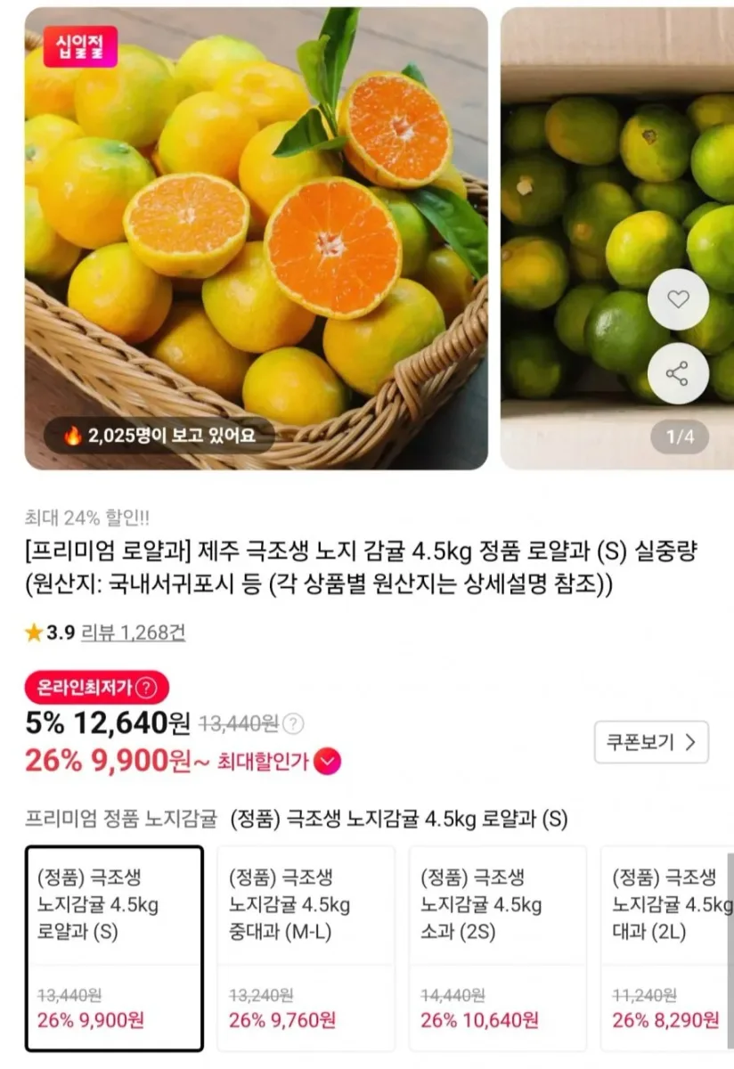 [11번가] 제주 극조생 노지감귤 로얄과 4.5kg (9,900원/무료)