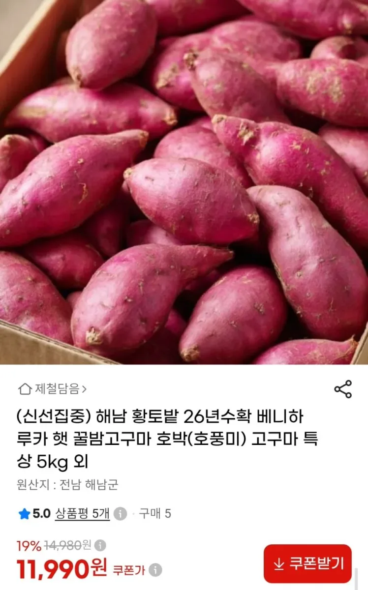 [G마켓] 해남 호박고구마 특상 5kg (11,990원/무배)