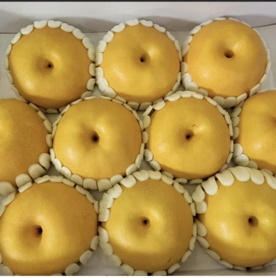 [네이버] 나주 배 가정용 5kg (11,900원/무료)