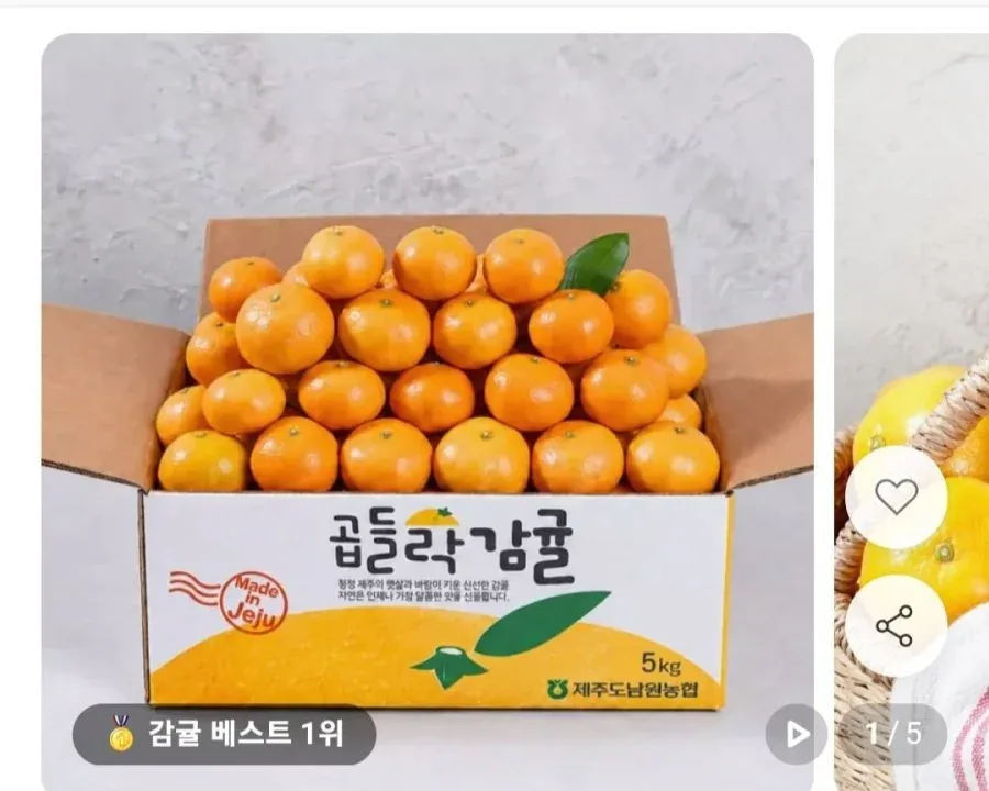 [11번가] 노지감귤 4.5kg (9,720원~/무료)