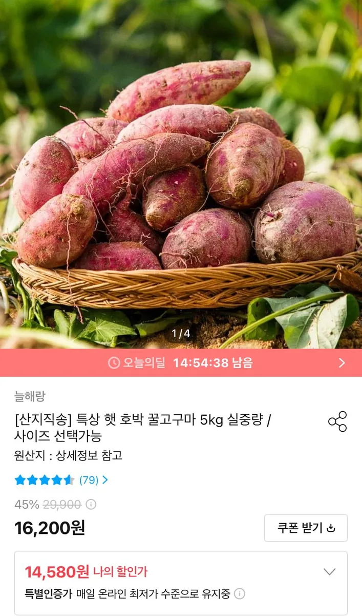 [오늘의집] 특상 햇 호박 꿀고구마 5kg (14,580원/무료)