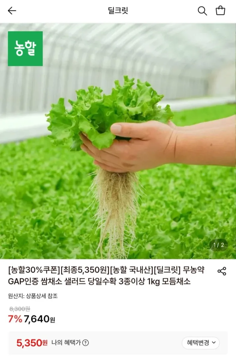 [롯데온] 무농약 국내산 쌈채소 샐러드 3종이상 1kg (5,350원/무료)