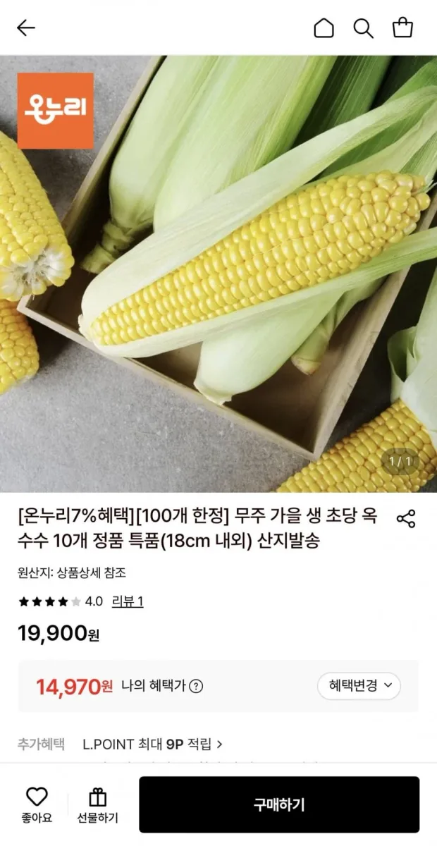 [롯데온] 무주 가을 생 초당 옥수수 10개 정품 특품 (14,970원/무배)