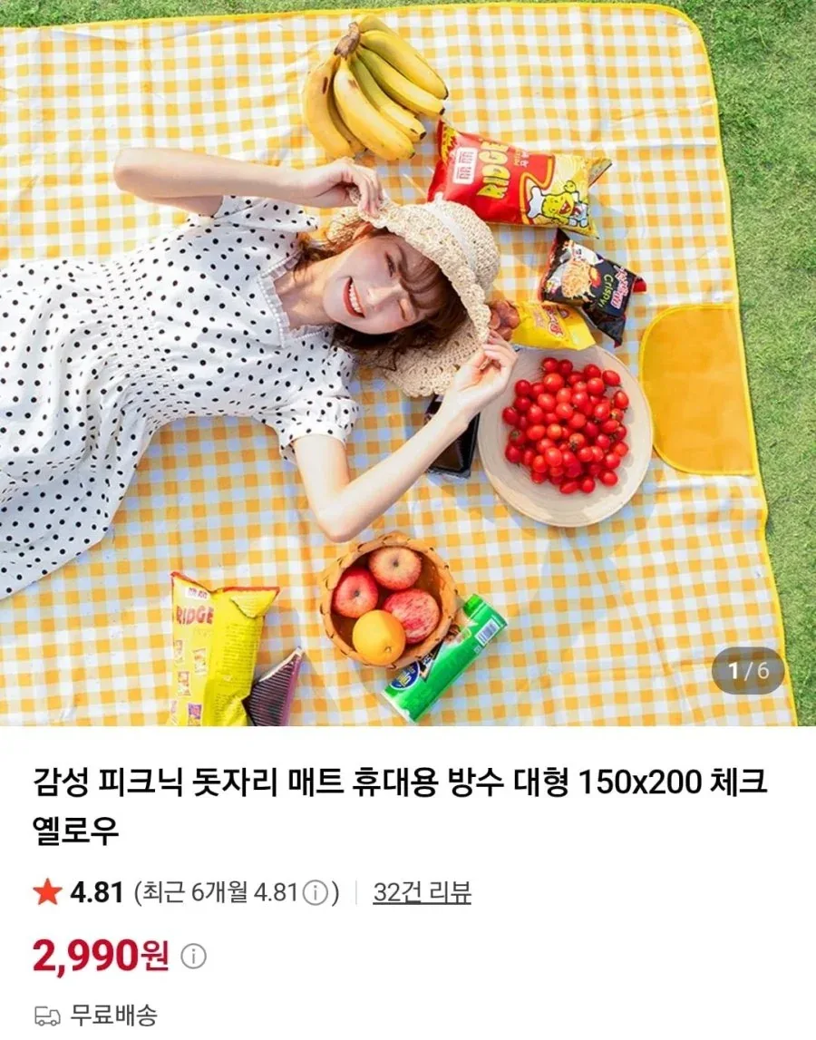 [네이버] 휴대용 방수 피크닉 돗자리 (2,990원/무료)