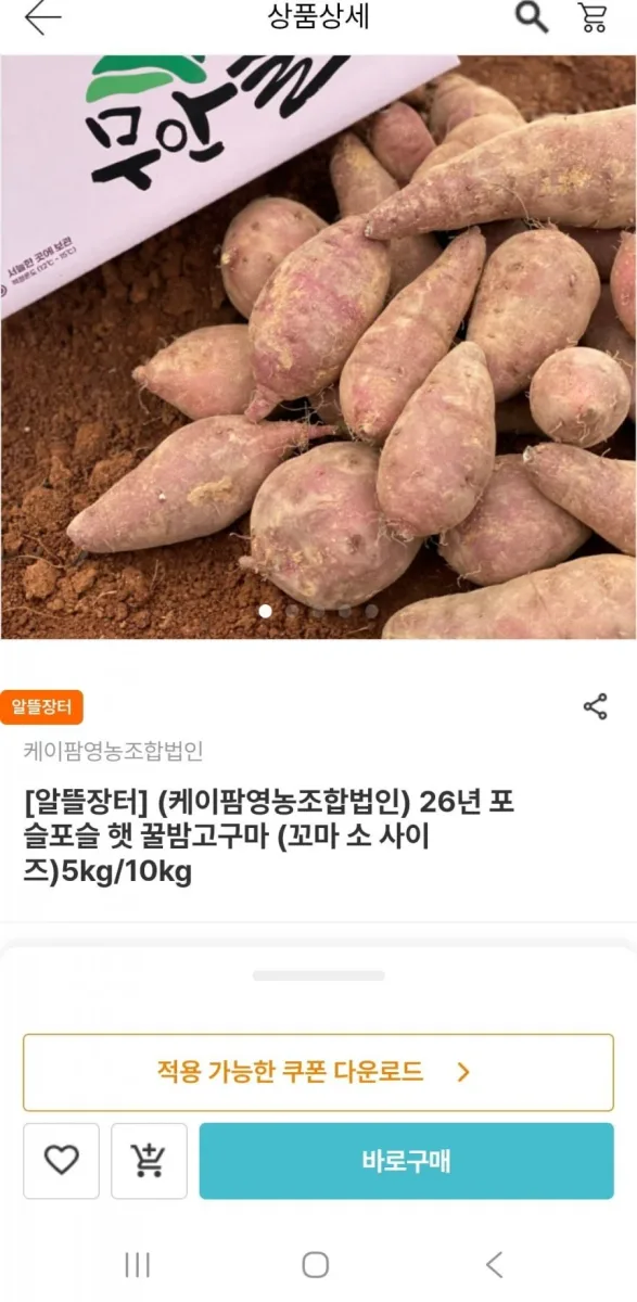 [남도장터]26년 무안 햇 꿀밤고구마 소사이즈5kg(18,500원/무배)