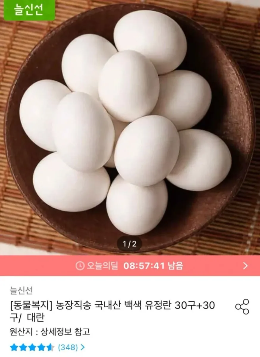 [오늘의집] 동물복지 유정란 60구 대란 (16,997원) (무료)