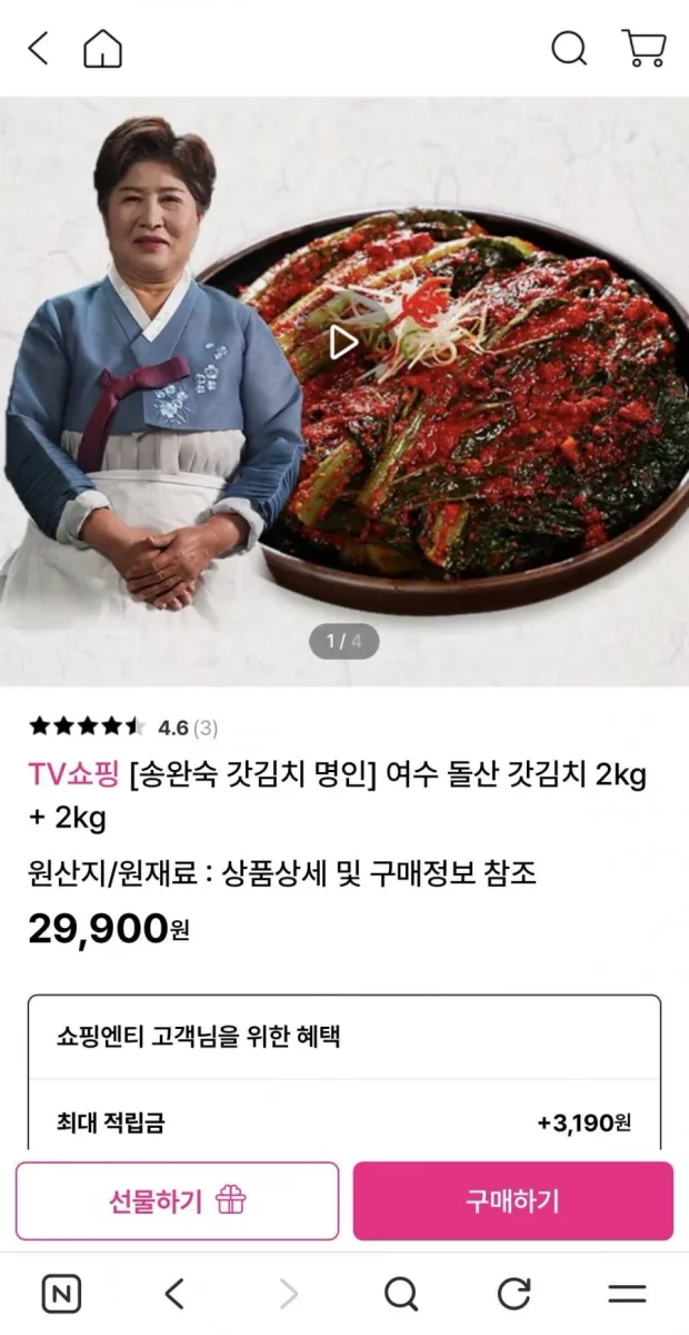 [쇼핑엔티] 송완숙 명인 여수 돌산 갓김치 4kg (29,900원/무배)