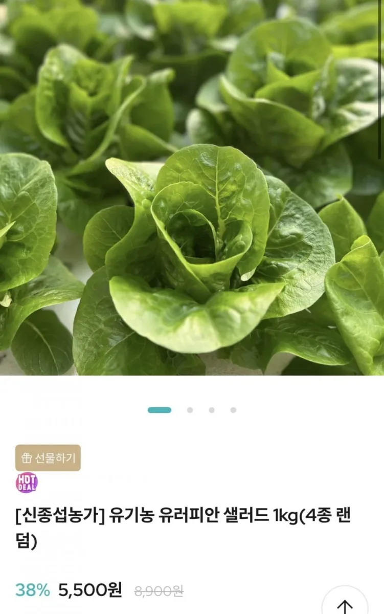 [온충북] 유기농 유러피안 샐러드 1kg(4종 랜덤) (5,500원/무료)