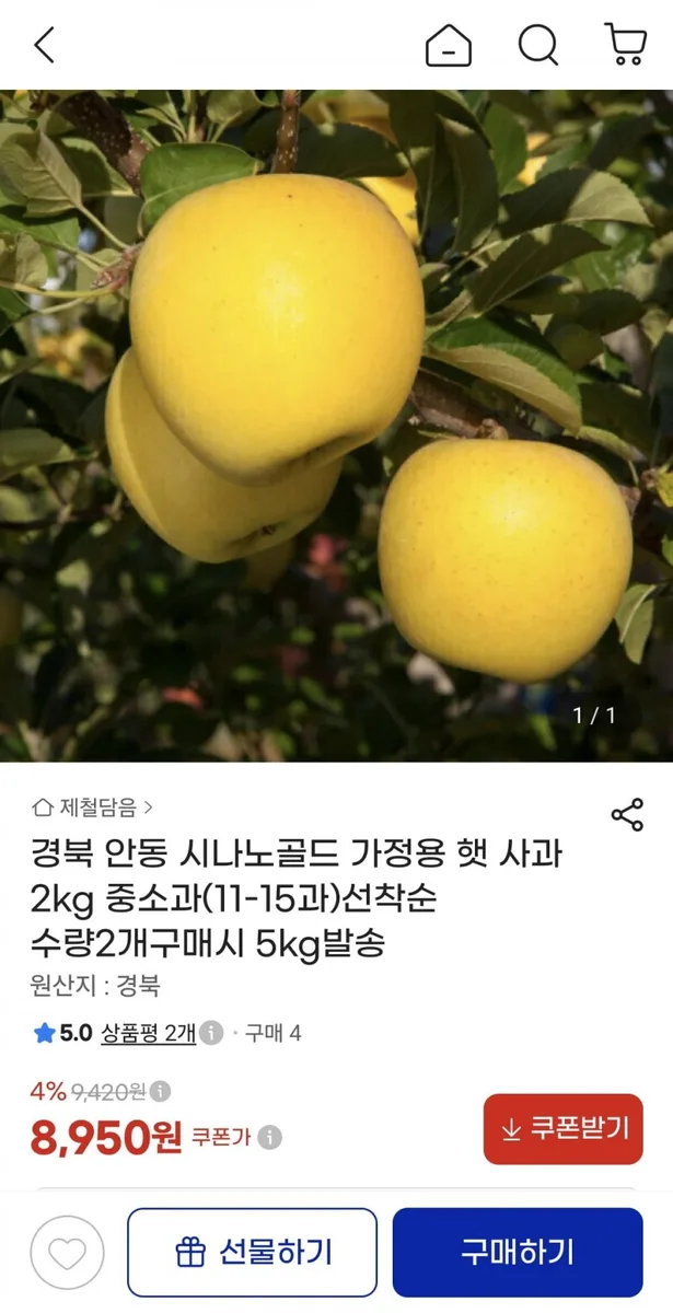 [지마켓] 경북 안동 시나노골드 가정용 햇 사과 2kg 중소과 (8,950원/무료)