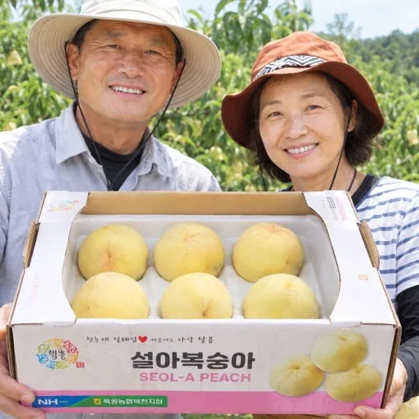 [네이버] 설아 백도 복숭아 1.5kg (18,900원 / 무배)