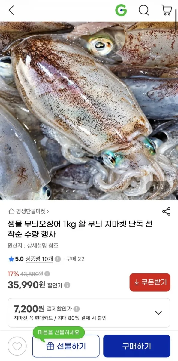 [지마켓] 생물 무늬오징어 1kg (4-6미) 선착순특가 (35,990원/무배)