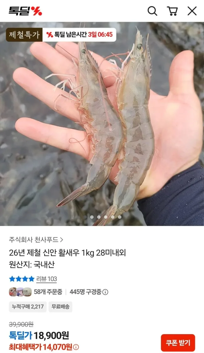 [카카오] 26년 제철 신안 활새우 1kg 28미내외 (14,070원/무료)