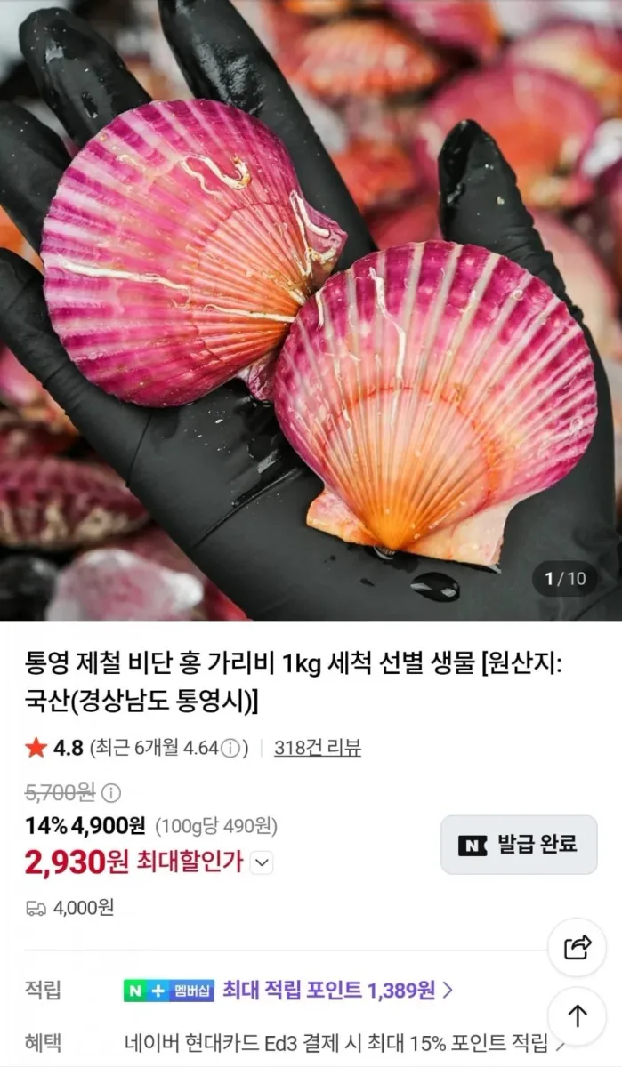 [네이버] 통영 제철 비단 홍가리비 2kg (6,360원/네멤무배)