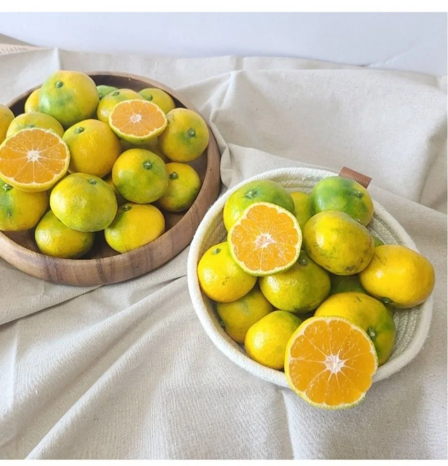 [롯데온] 제주 햇 극조생 감귤 4.5kg/9kg(실중량) (7,870원~/무료)