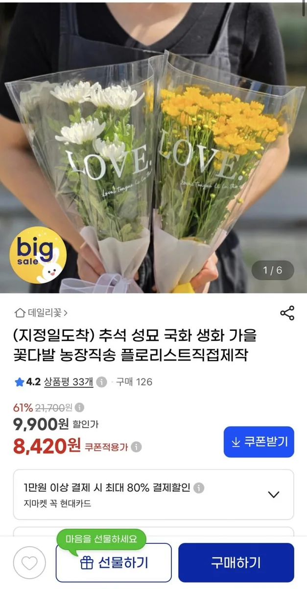 [지마켓] 국화 생화 꽃 반단(8,720원/무료)