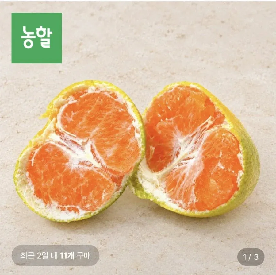 [롯데온] 제주 극조생 노지감귤 4.5kg 로얄과 (9,150원/무료)