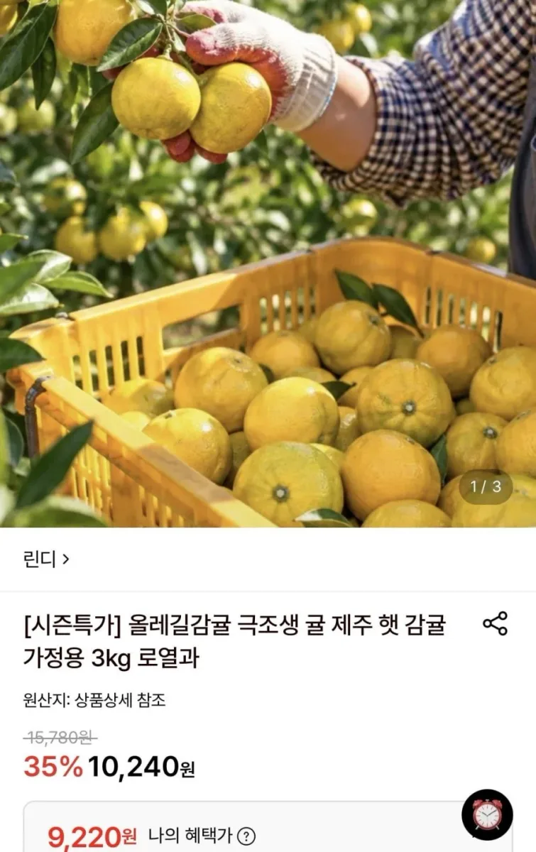 [롯데온] 극조생 감귤 가정용 3kg 로열과 (9,220원/무료)