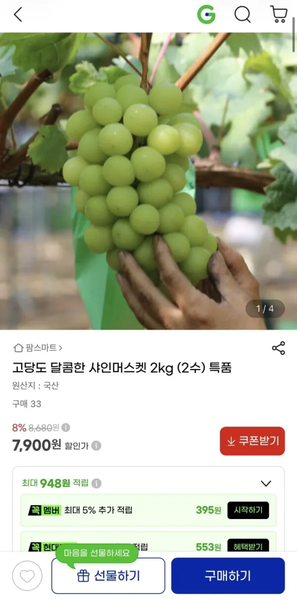 [지마켓] 샤인머스켓 2kg 고당도 특품 2수 (7,900원/무료)