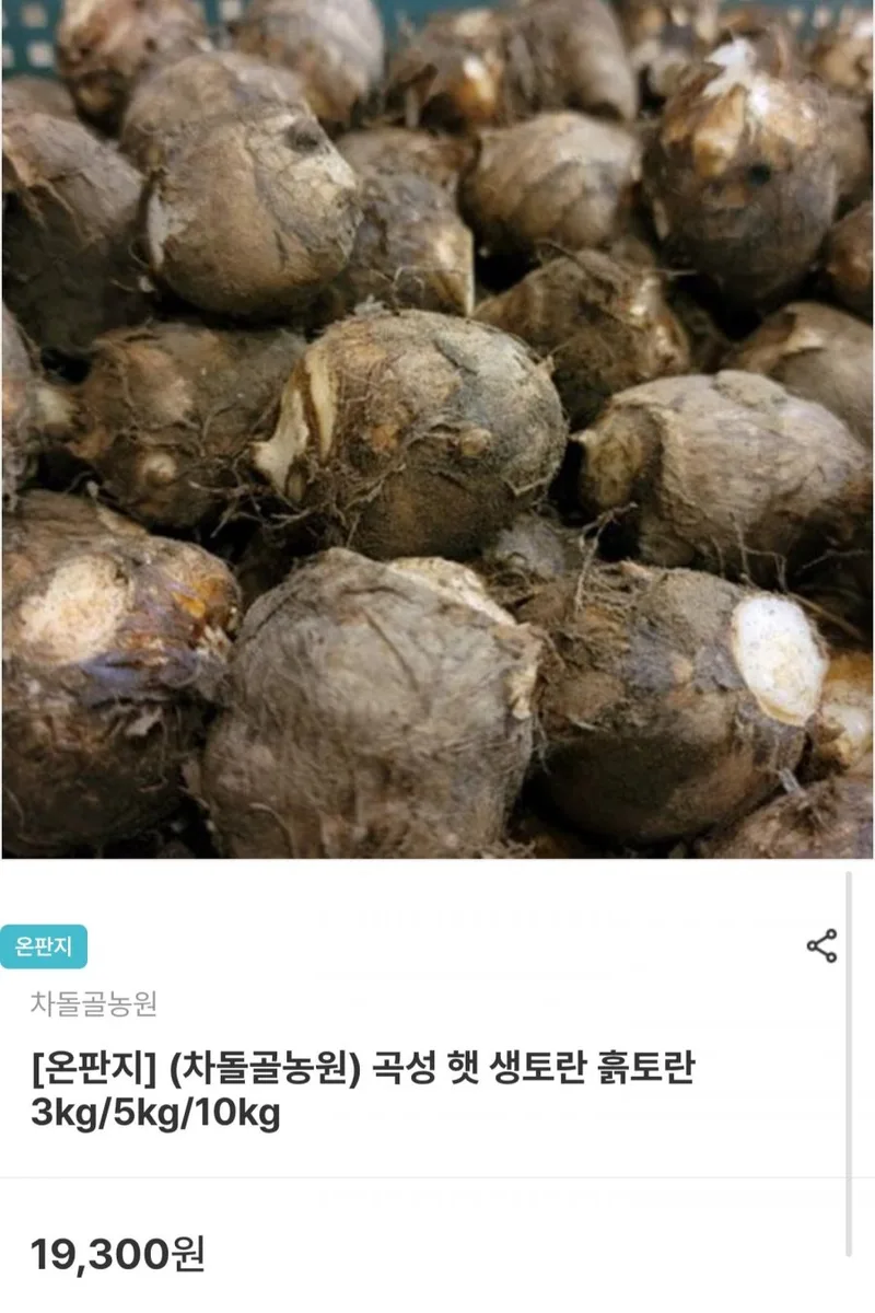 [남도장터] 곡성 햇 생토란 흙토란 3kg (9,650원/무료)