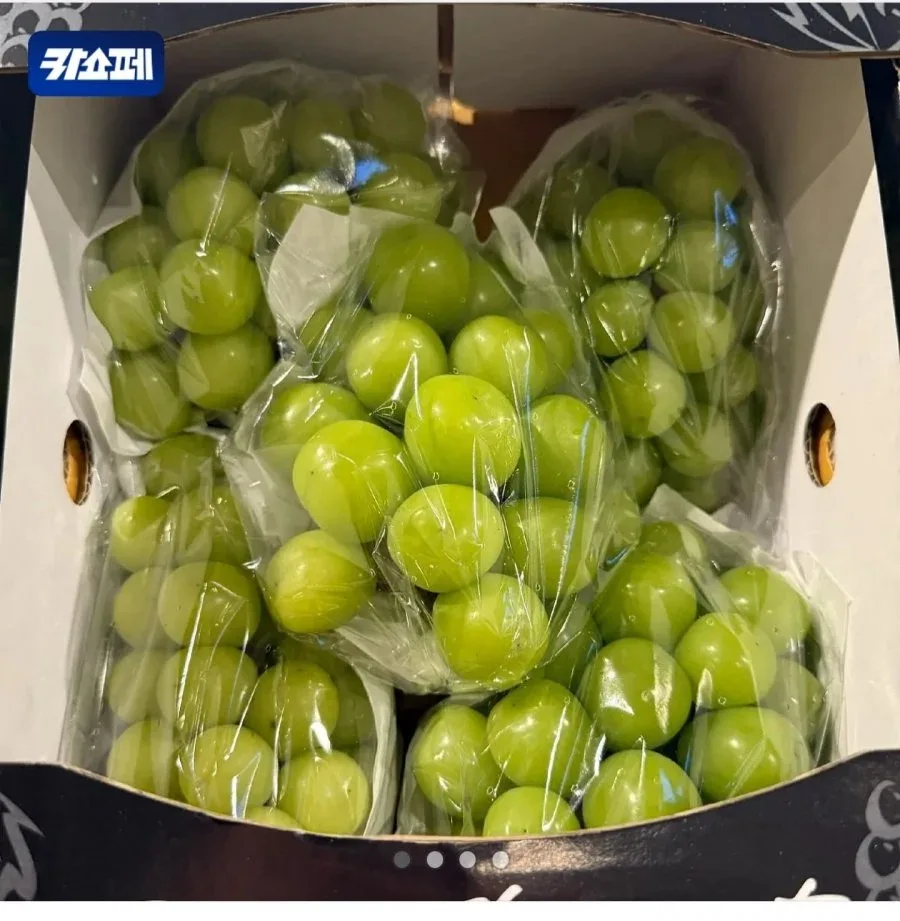 [톡딜] 샤인머스켓/시나노사과/단감 2kg 각 (10,900원/무료)