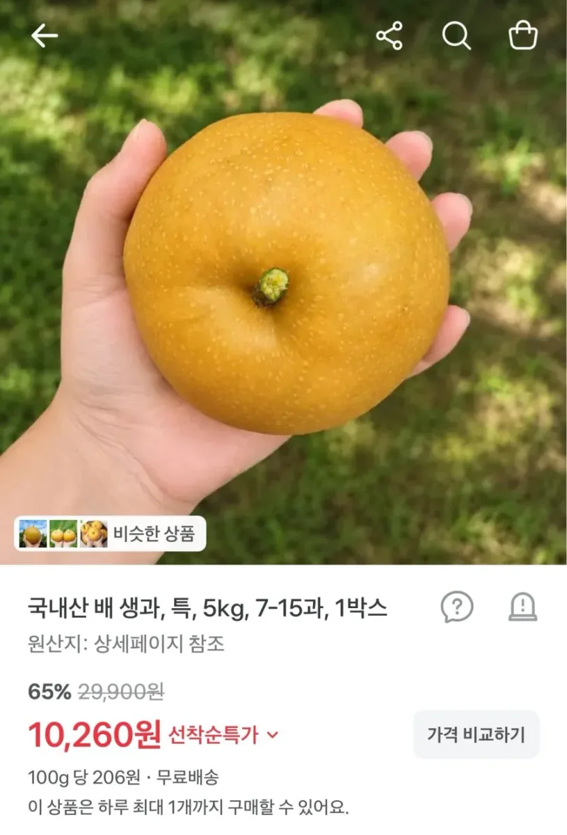 [토스] 국내산 배 생과 특 5kg (10,260원/무료배송)