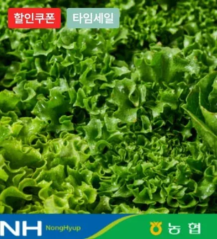 [농협몰] 유러피안 샐러드 채소 대용량 1kg 야채믹스 (6,320원/무료)