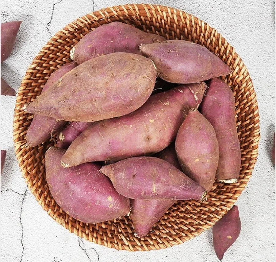 [남도장터] 세척 햇 고구마 3kg 특상 (8,960원/무료)