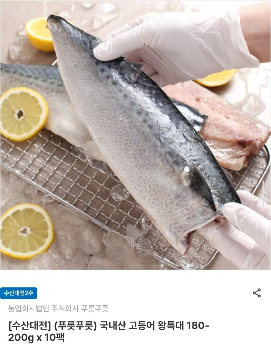 [남도장터] 국내산 고등어 왕특대 180~200g 10팩 (18,130원/무료)
