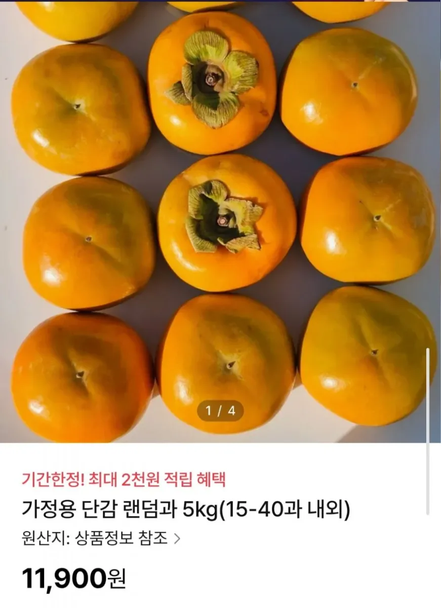 [NS홈쇼핑] 가정용 단감 랜덤과 5kg (11,900원/무료)