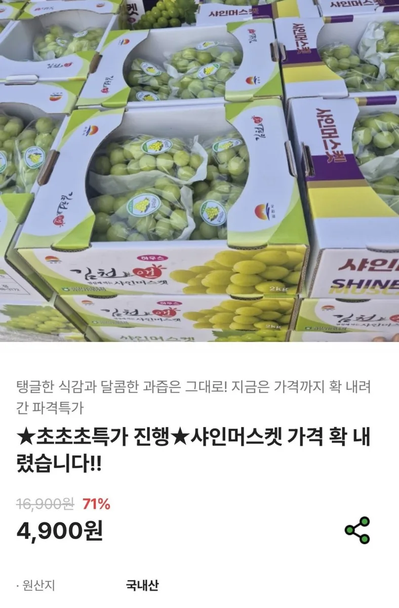 [최고집] 샤인머스켓 2kg 5수 (4,900원/무료)