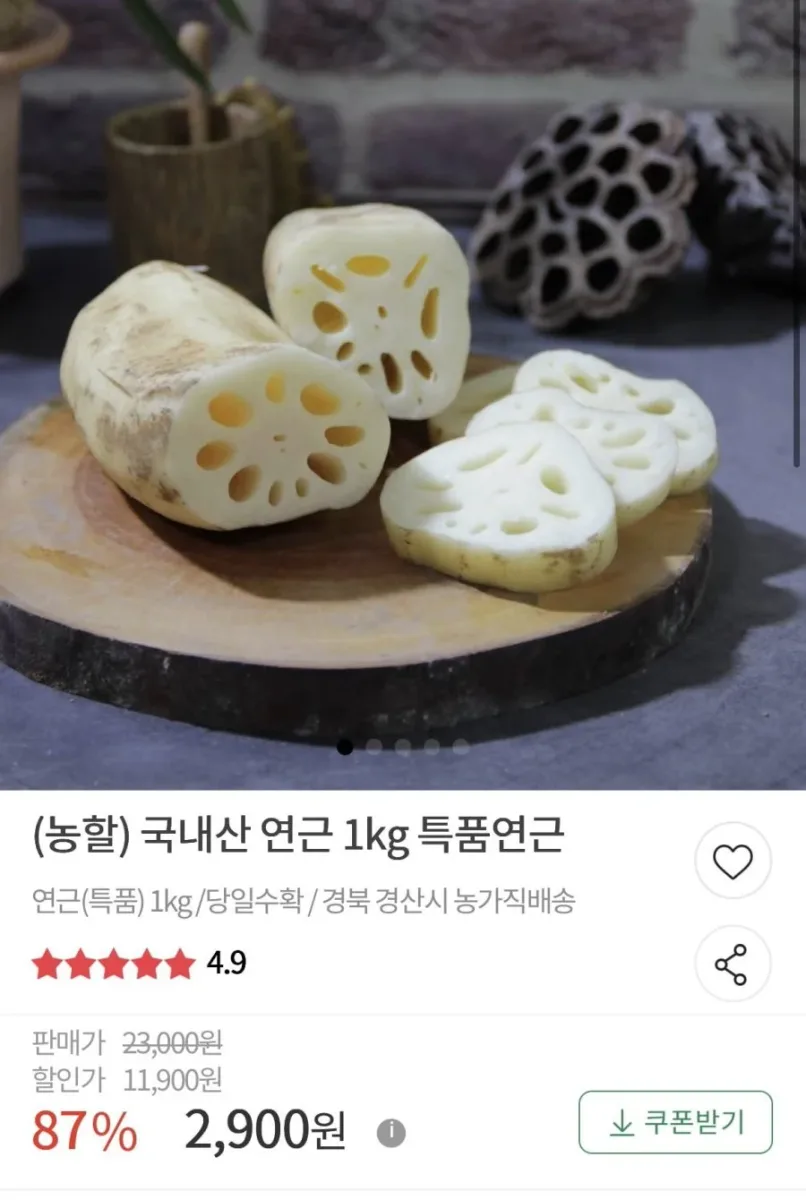 [우체국쇼핑] 국내산 연근 1kg 특품연근 (2,900원/무료)