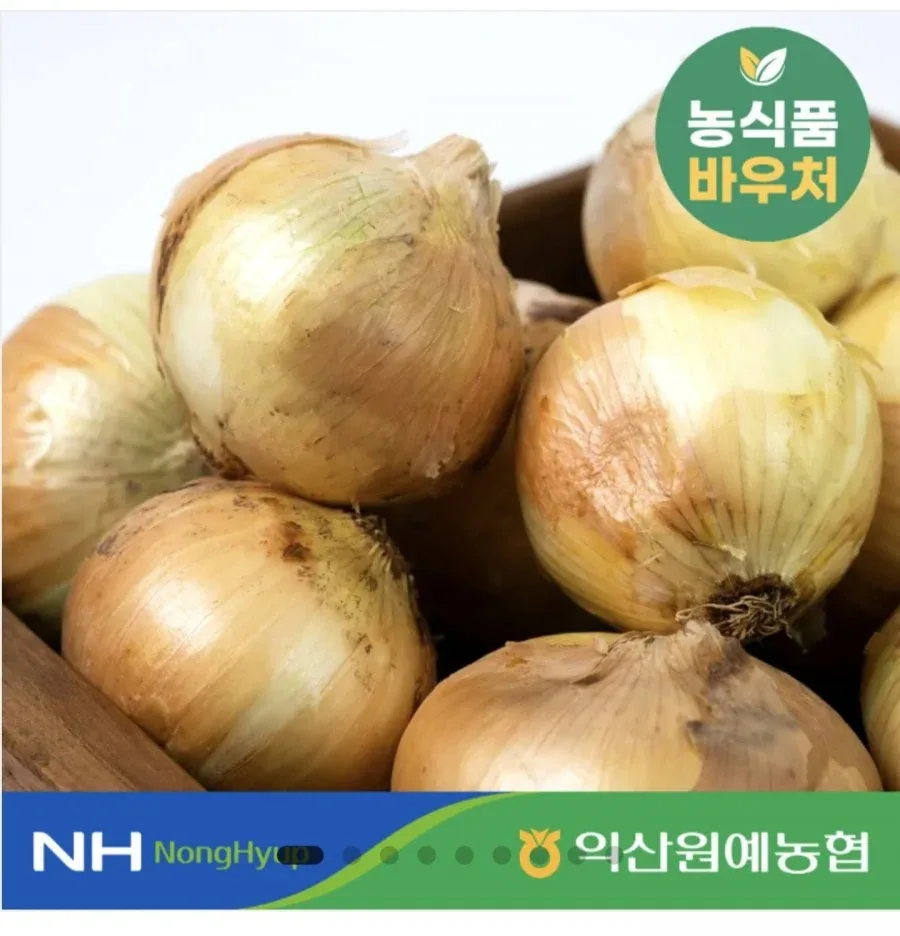 [농협이마켓] 햇양파 5kg 대 (7,400원/무료)