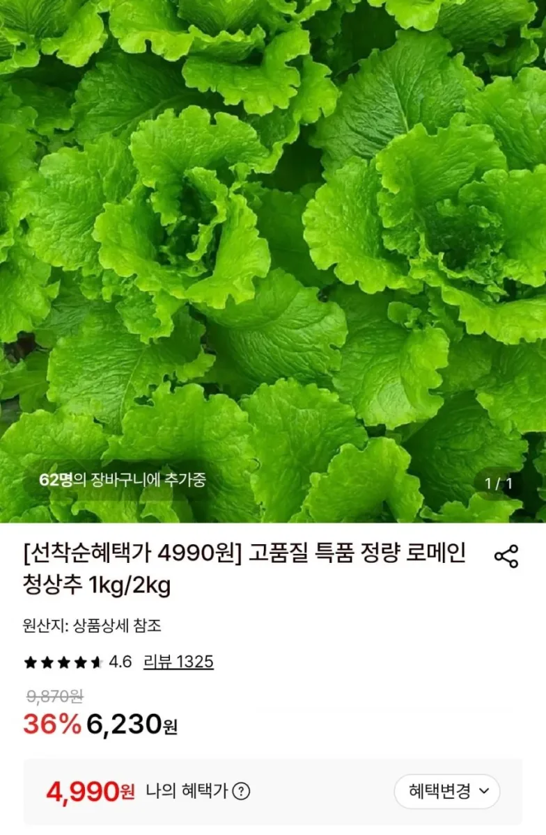 [롯데온] 로메인청상추 1kg (4,990원/무료)