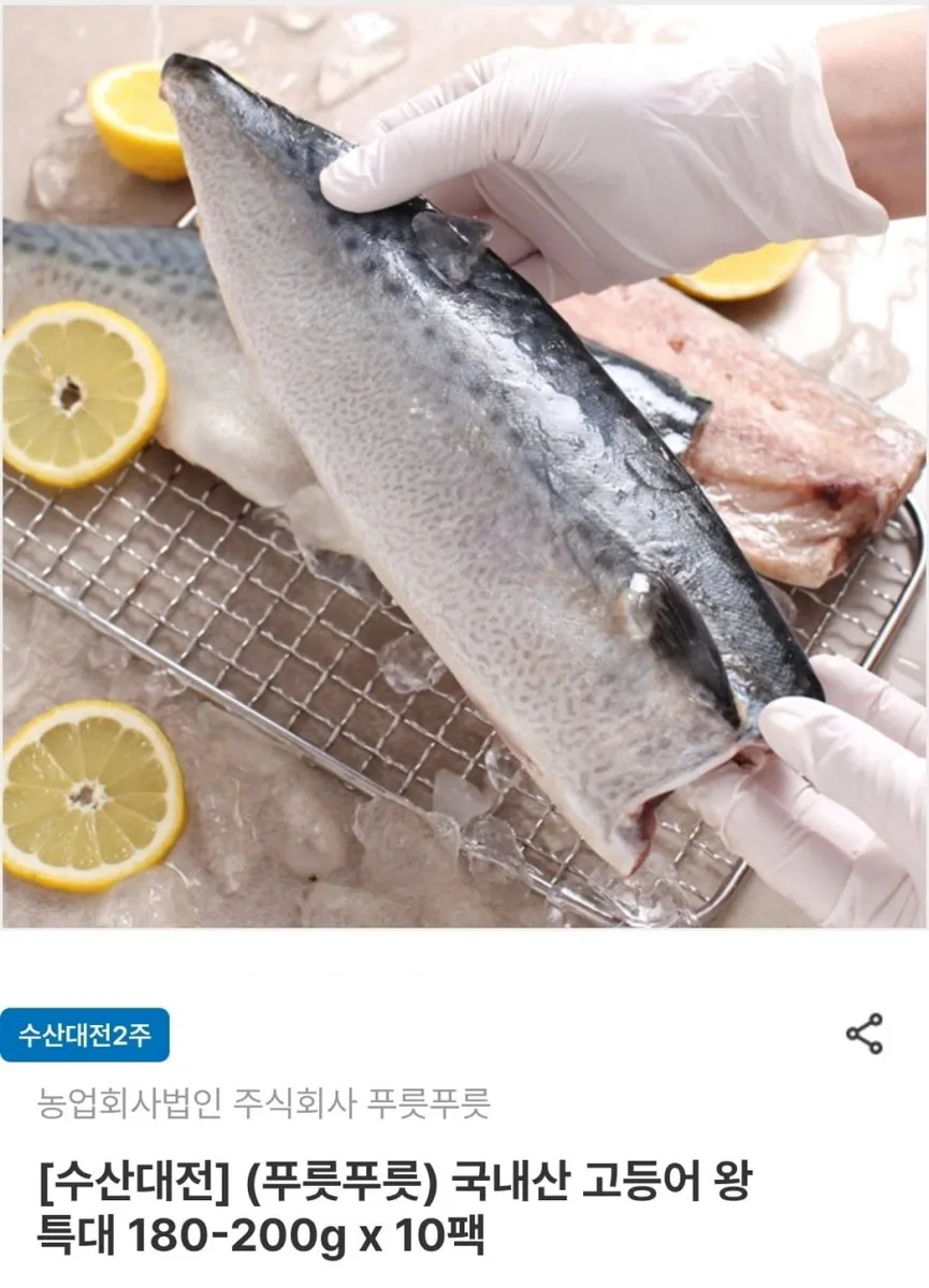 [남도장터]여수 고등어 왕특대 180~200g 10팩 (18,130원/무료)