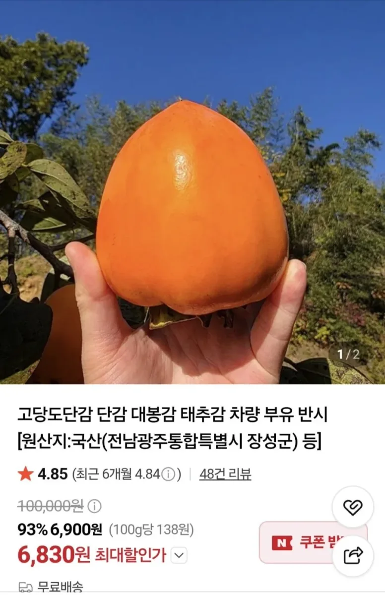 [네이버] 고당도 대봉감 반시 5kg (9,830원/무료)