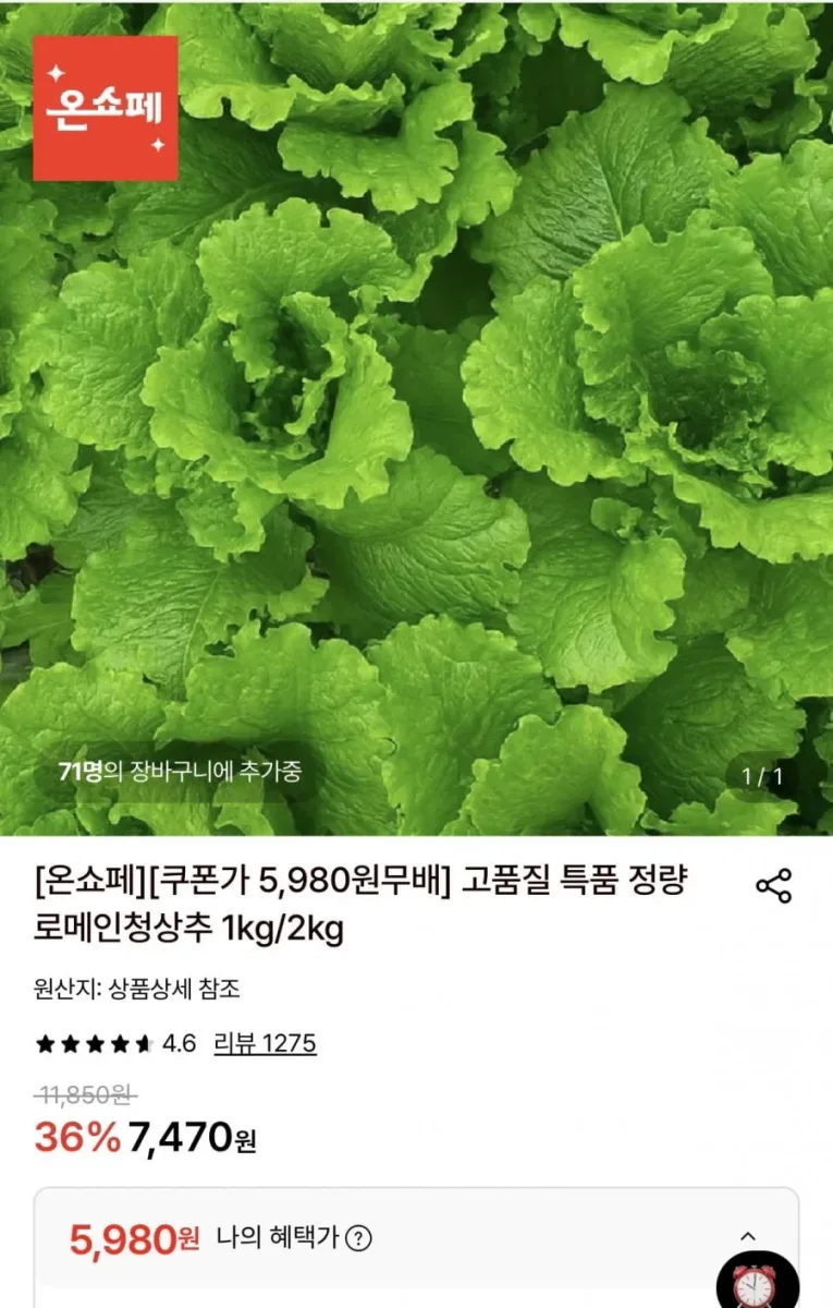 [롯데온] 정량 로메인청상추 1kg (5,980원/무료)