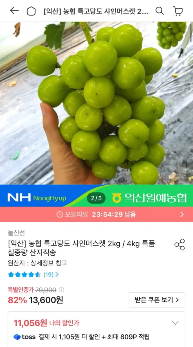 [오늘의집] 농협 샤인머스켓 2kg 3-4수 (9,951원/무료)
