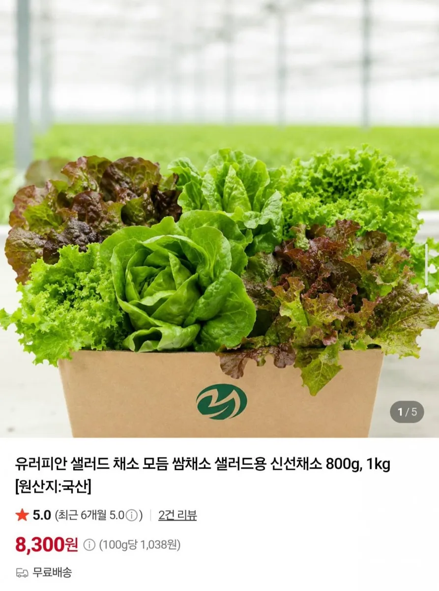 [네이버] 유러피안 샐러드 모듬 쌈채소 1kg (9,300원/무료)