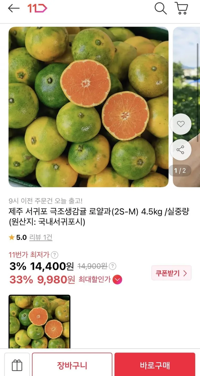 [11번가]제주 서귀포 극조생감귤 로얄과 4.5kg (9,980원/무료배송)