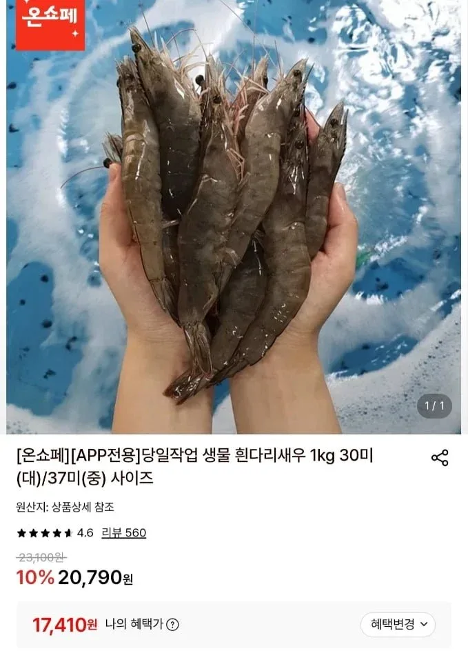 [롯데온] 당일작업 생물 흰다리새우 1kg 30미 (19,490원/무료)