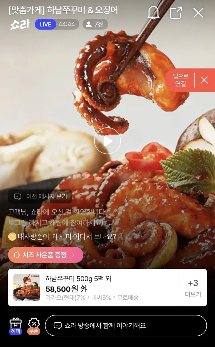 [현대H몰] 하남쭈꾸미 500g 5팩 / 하남오징어 300g 5팩 (27,920원~/무료)